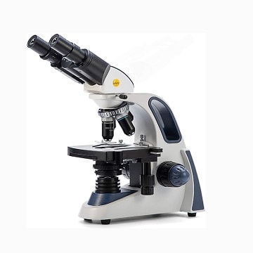 Professional Binocular Microscope Image